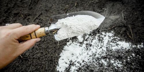 Mészpor a talajjavításhoz: válasszon egyszerű megoldást!